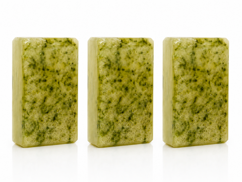 Se-Brazil BRICK Body Cleansing Bar x3